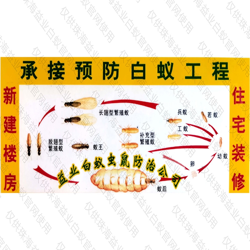 滅白蟻防治方法